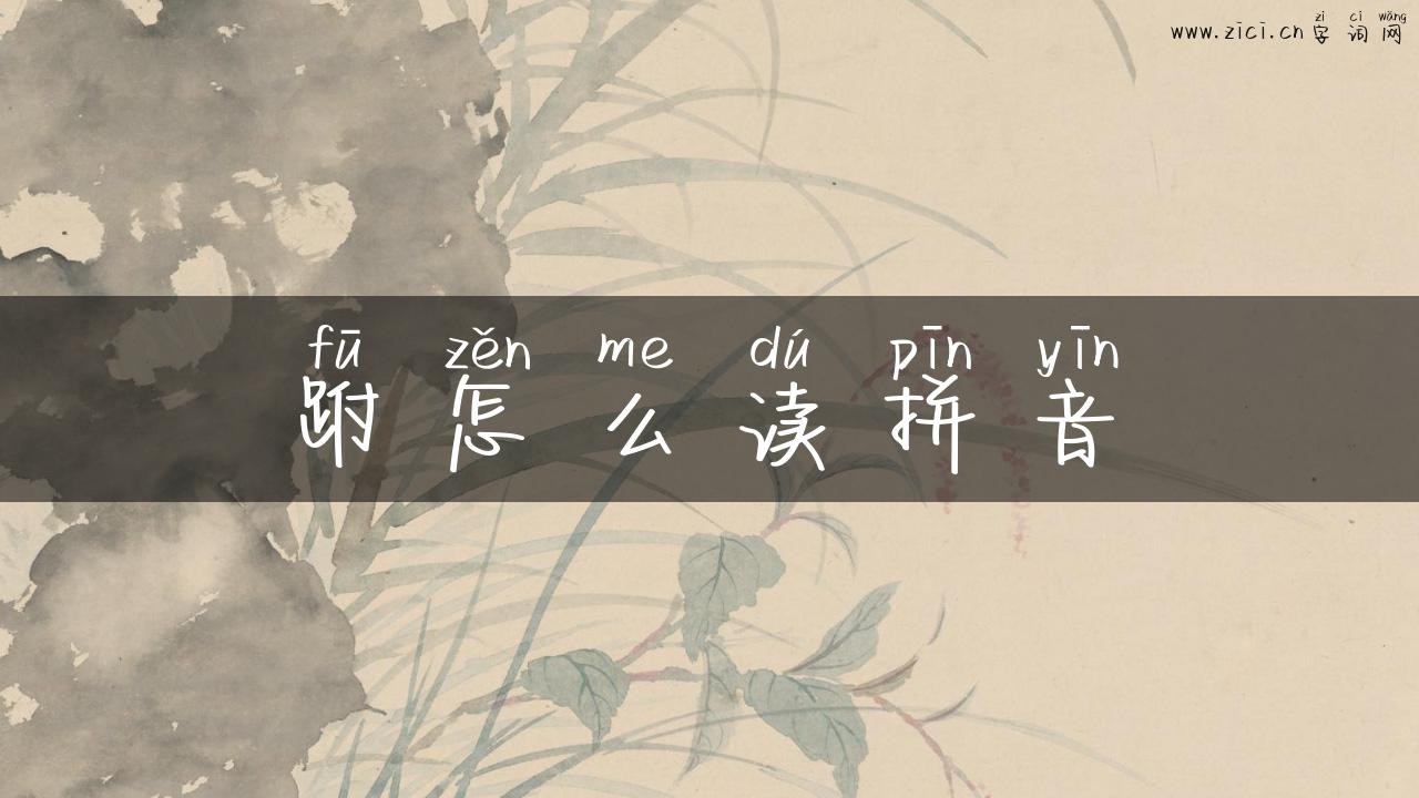 跗怎么读拼音