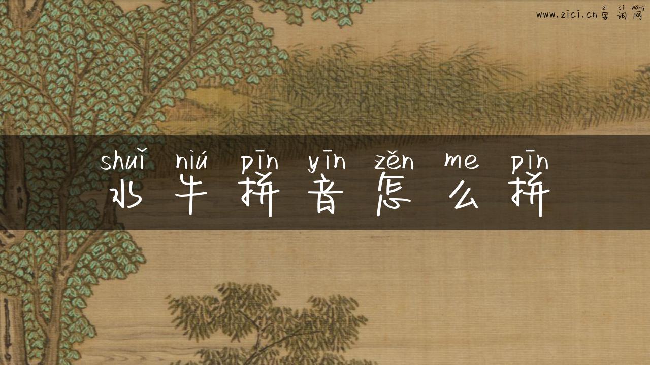 水牛拼音怎么拼