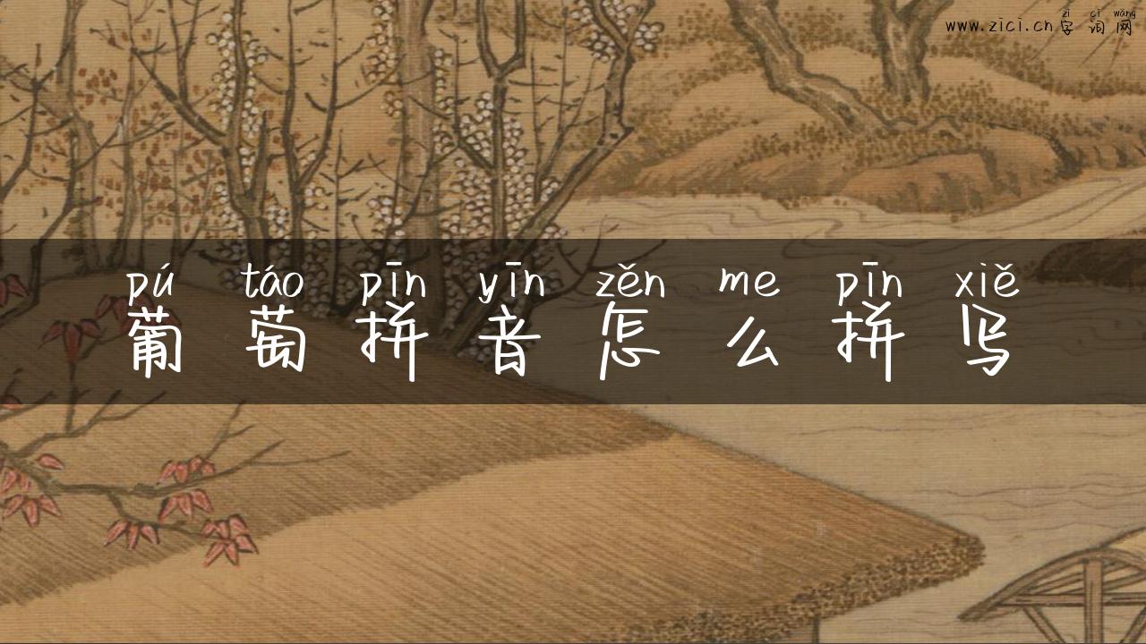 葡萄拼音怎么拼写