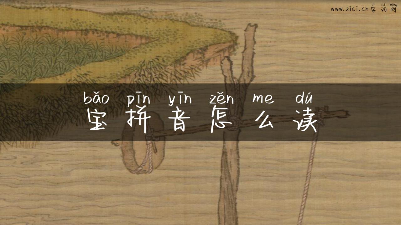宝拼音怎么读