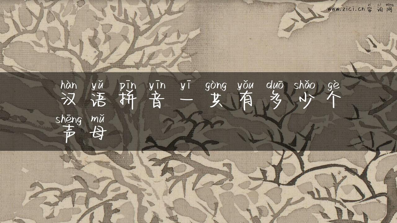汉语拼音一共有多少个声母