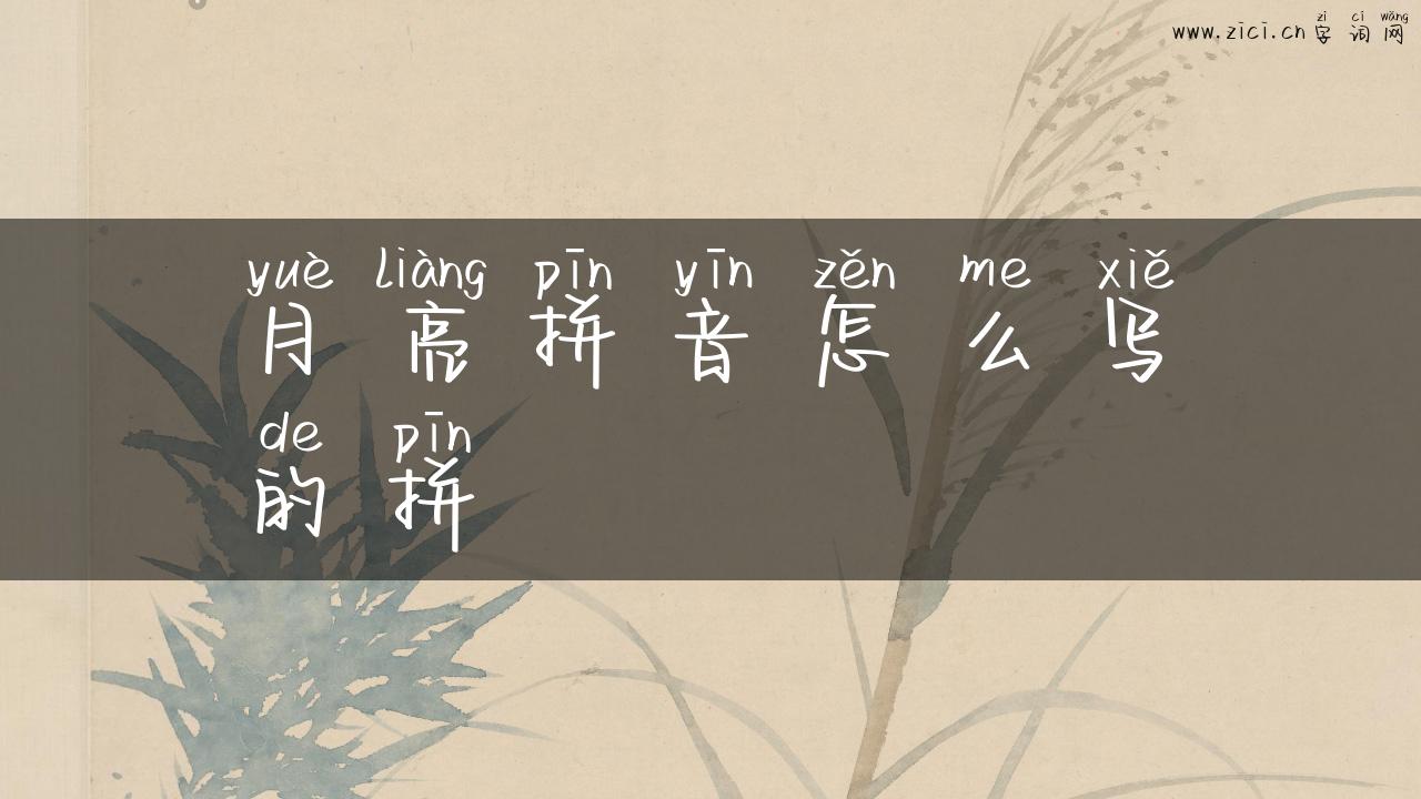 月亮拼音怎么写的拼