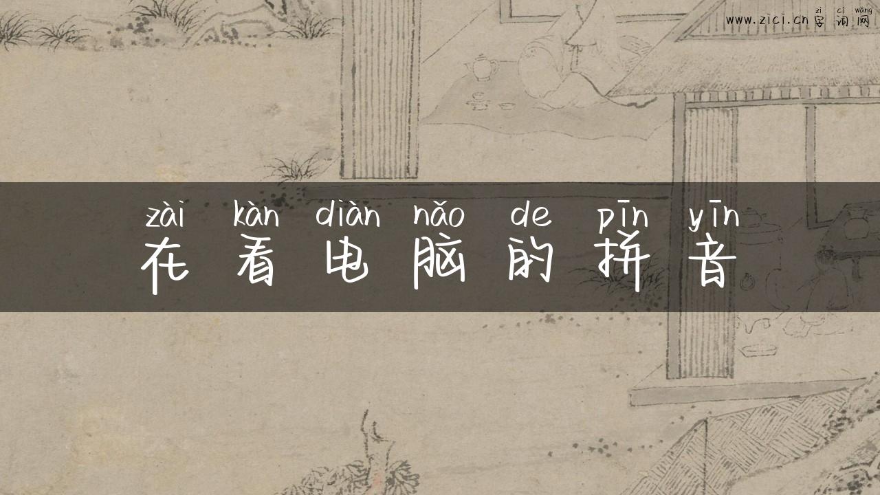 在看电脑的拼音