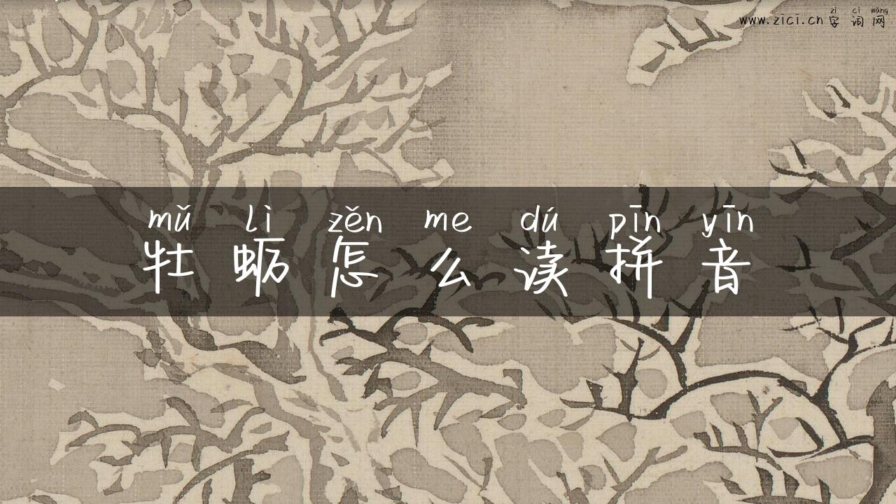 牡蛎怎么读拼音