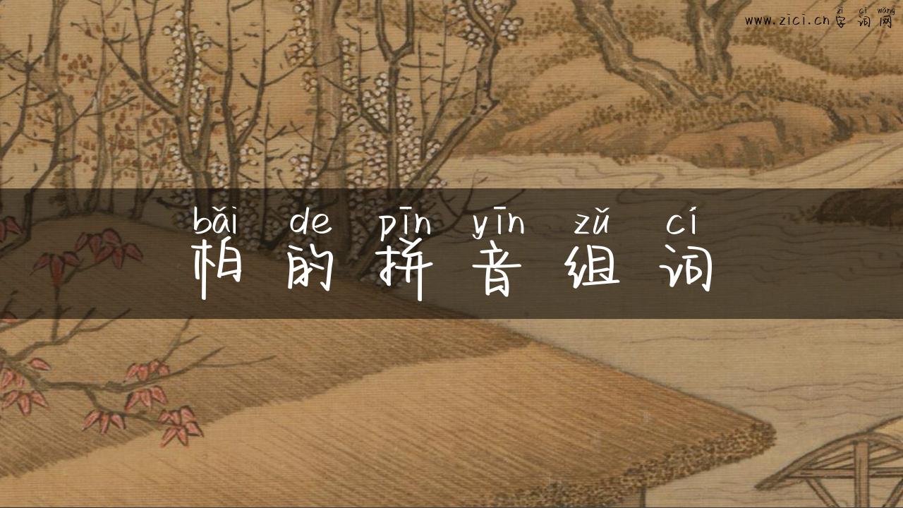 柏的拼音组词