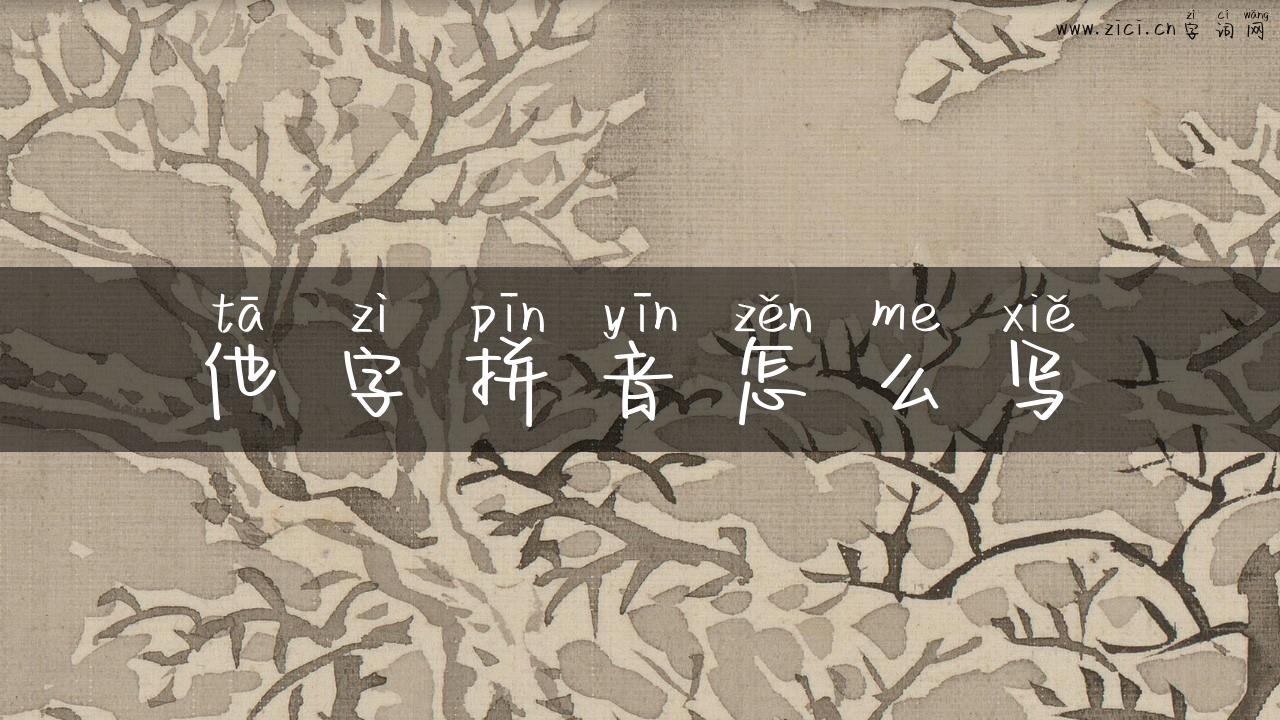 他字拼音怎么写
