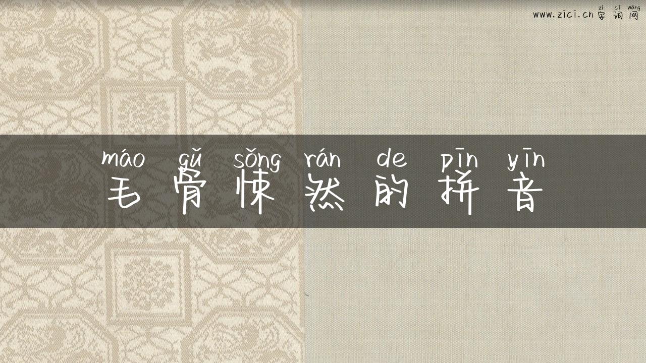 毛骨悚然的拼音