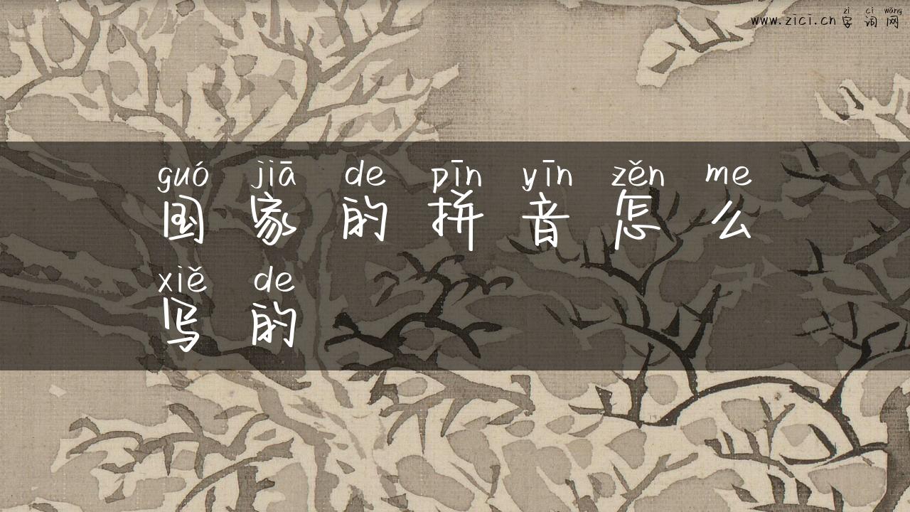 国家的拼音怎么写的