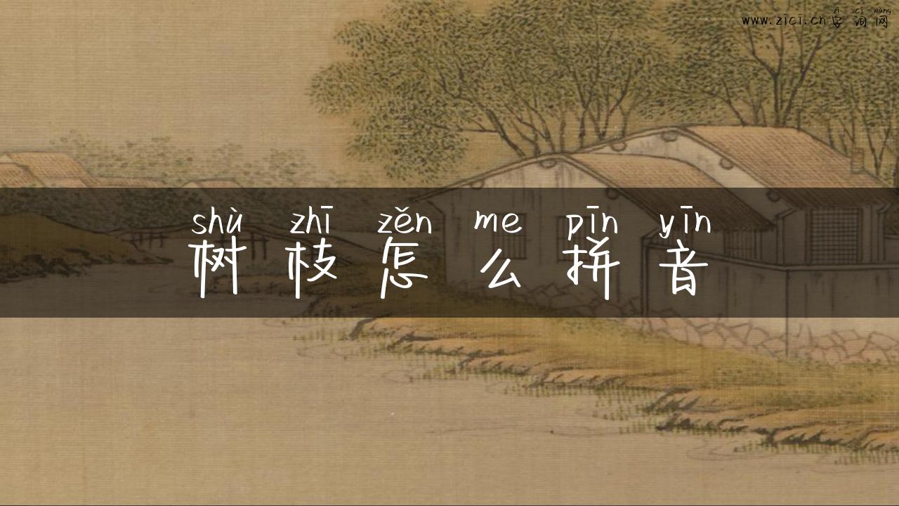 树枝怎么拼音