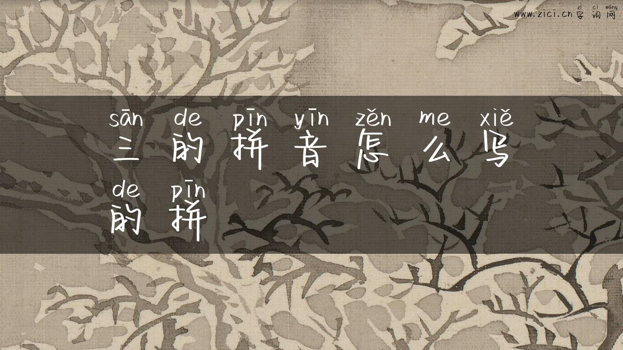三的拼音怎么写的拼