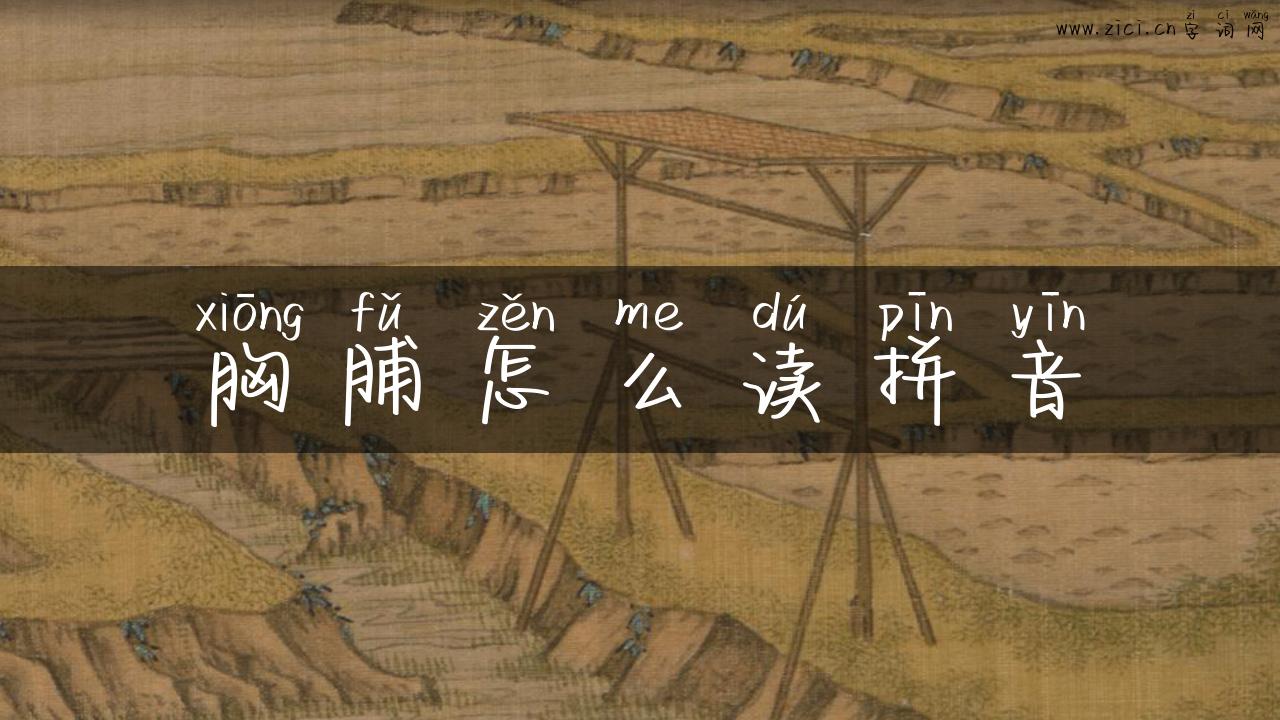 胸脯怎么读拼音