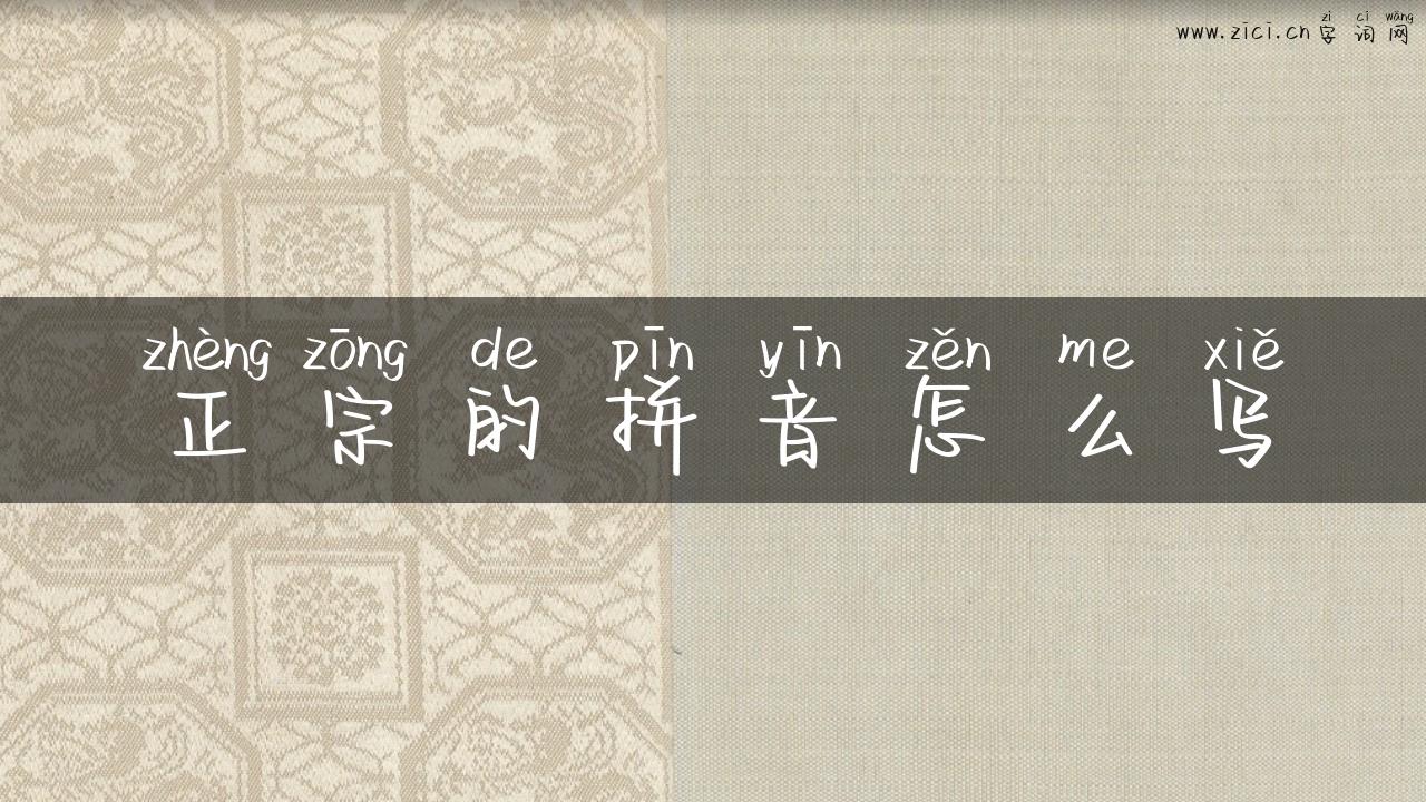 正宗的拼音怎么写
