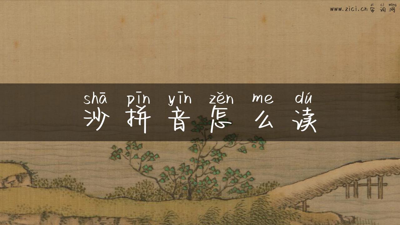 沙拼音怎么读