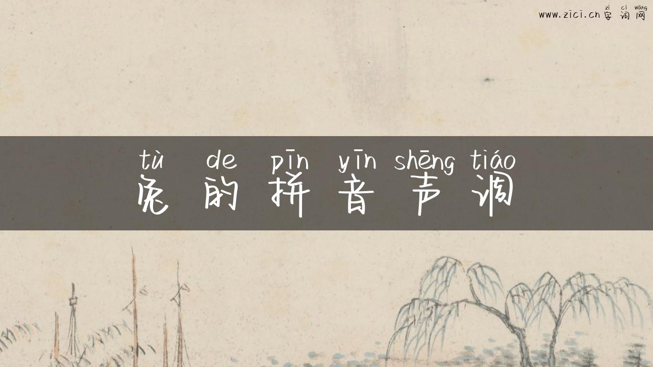 兔的拼音声调