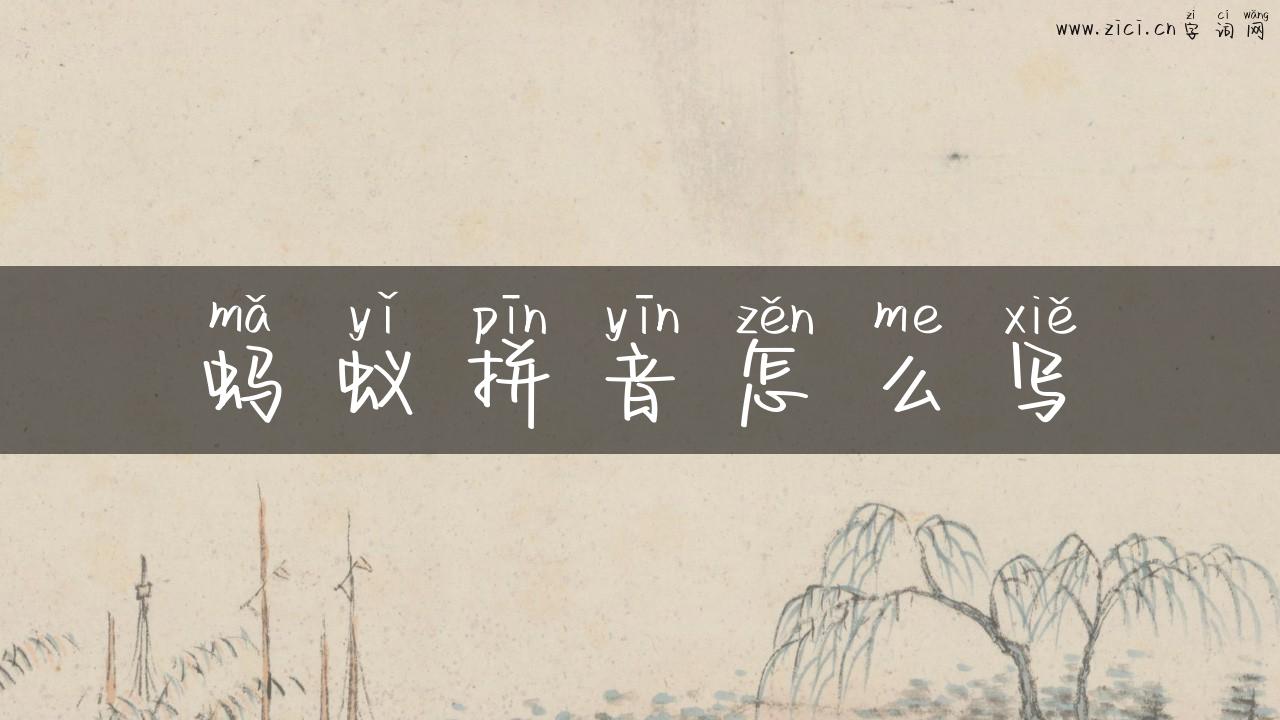 蚂蚁拼音怎么写