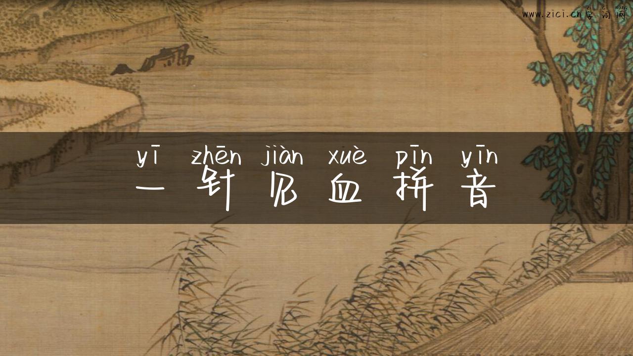 一针见血拼音