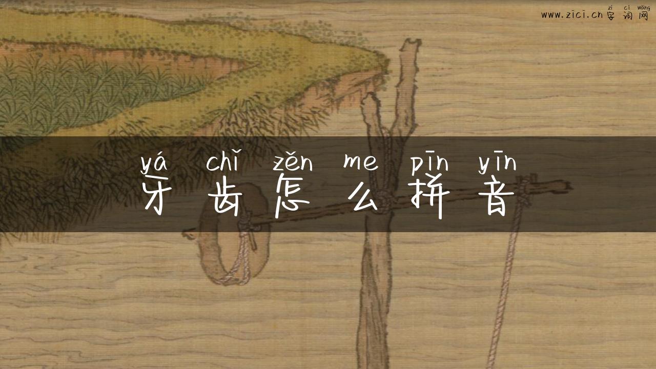 牙齿怎么拼音