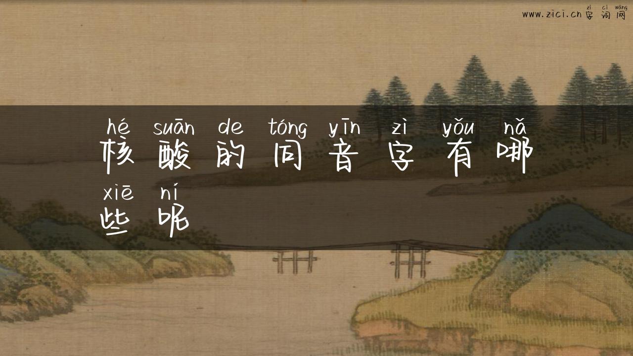 核酸的同音字有哪些呢