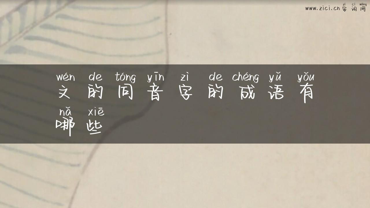 文的同音字的成语有哪些