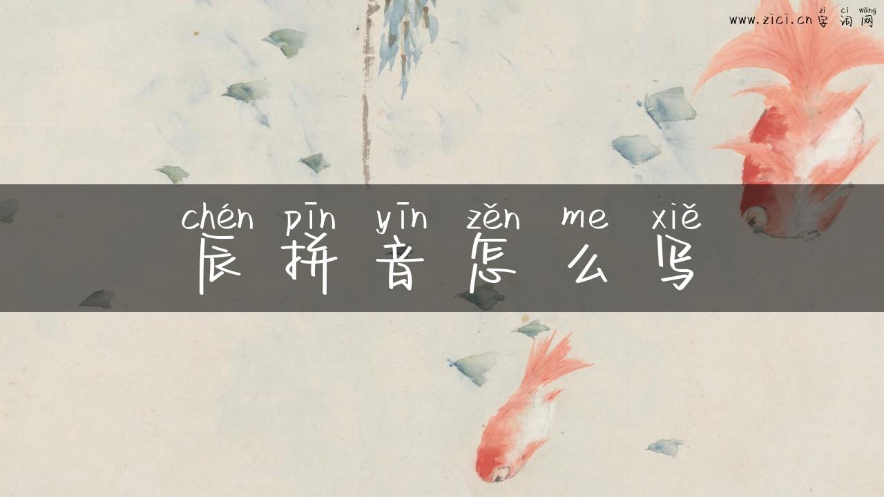 辰拼音怎么写