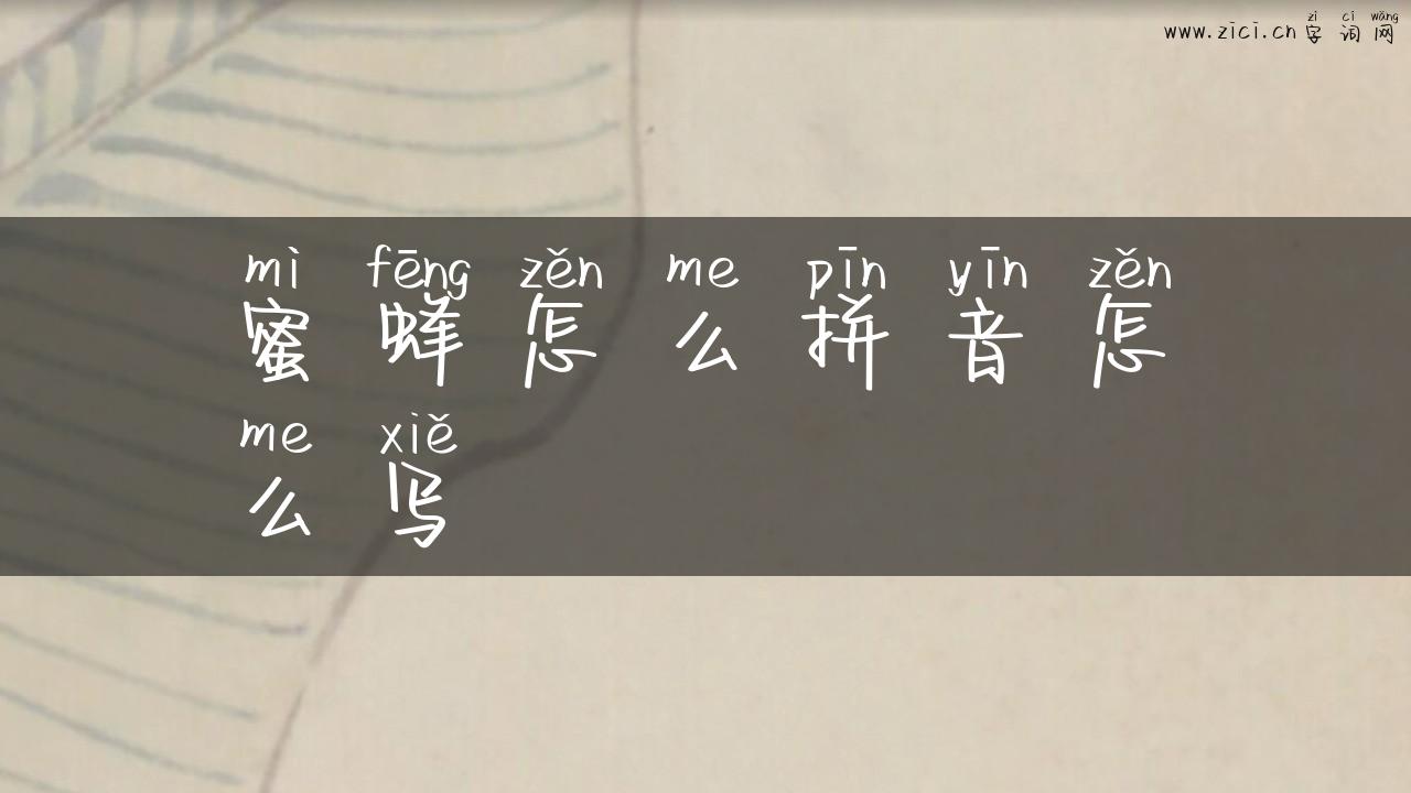 蜜蜂怎么拼音怎么写