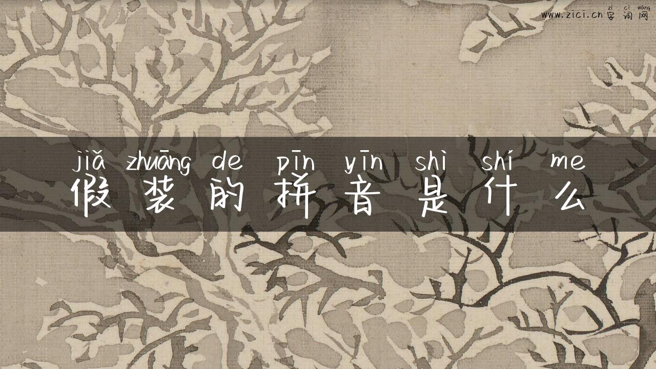 假装的拼音是什么