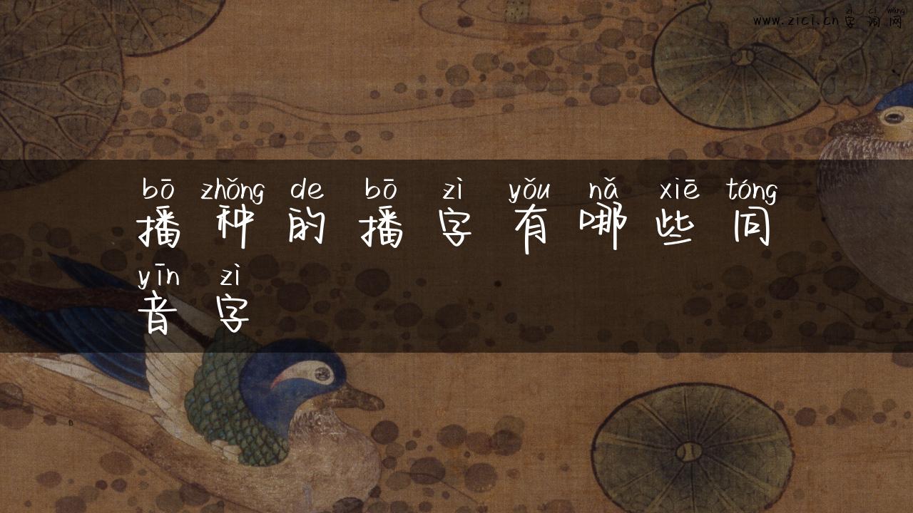 播种的播字有哪些同音字