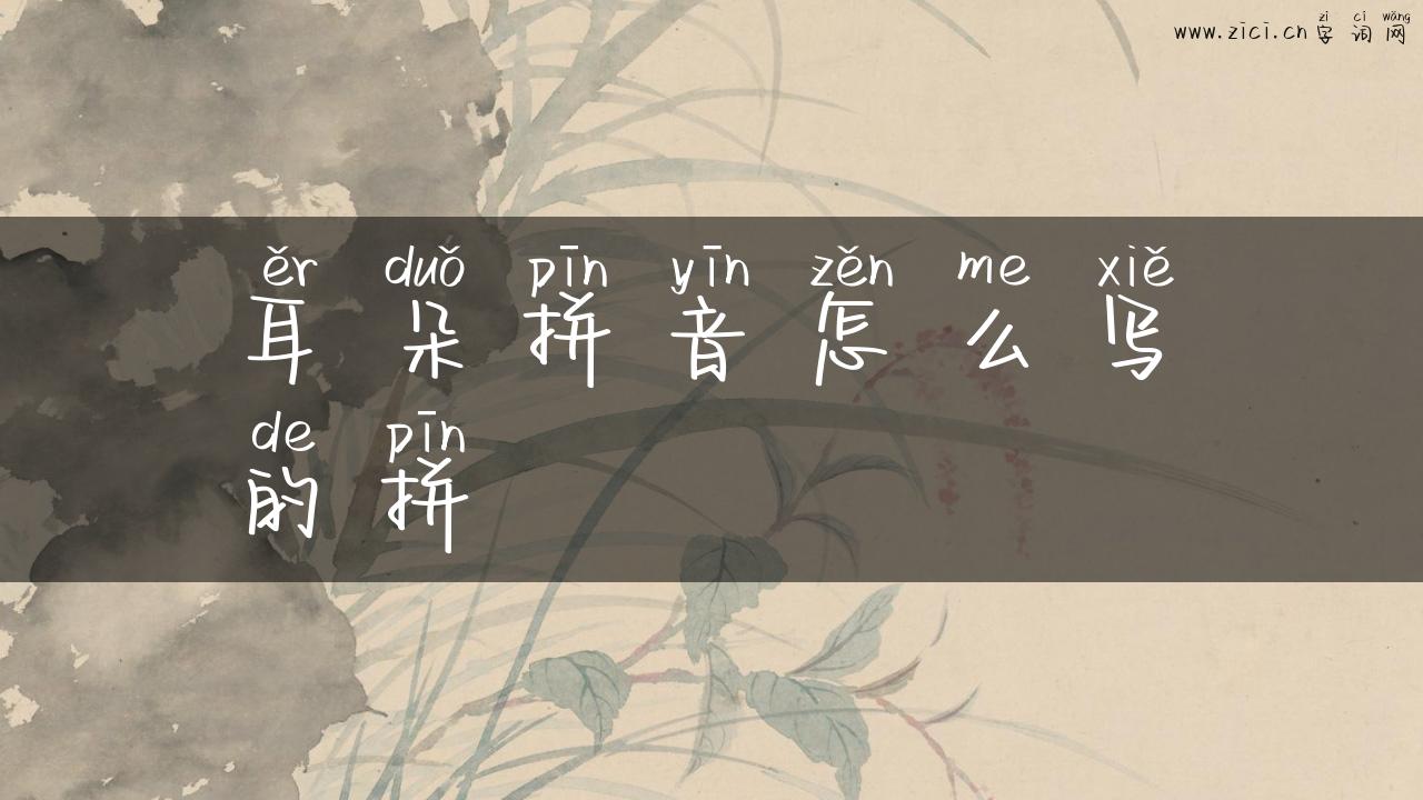 耳朵拼音怎么写的拼