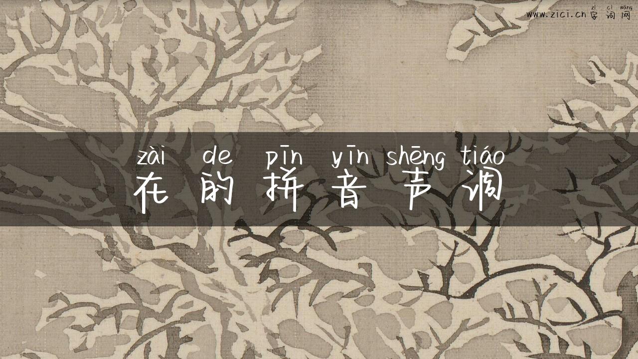 在的拼音声调