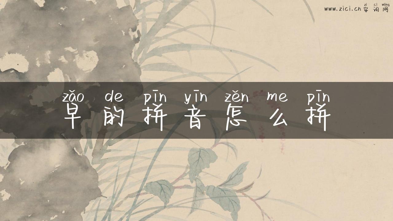 早的拼音怎么拼