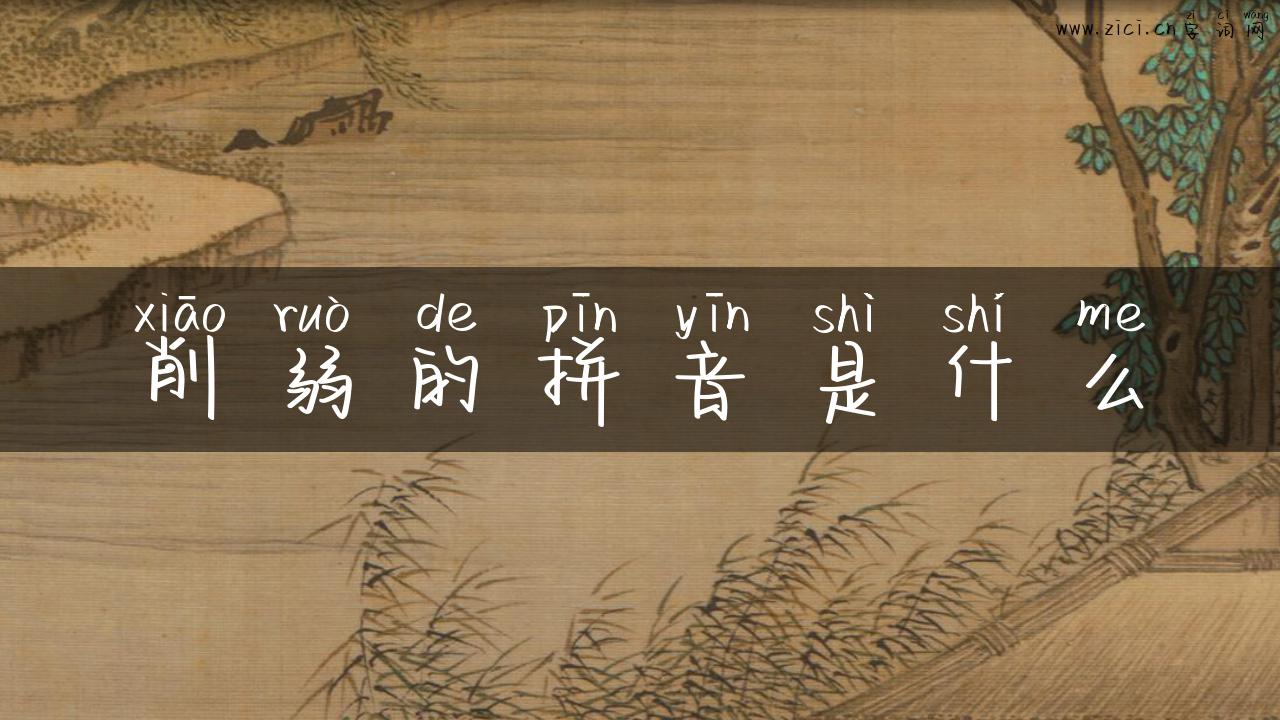 削弱的拼音是什么