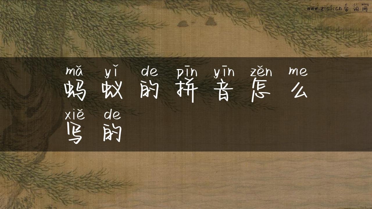 蚂蚁的拼音怎么写的