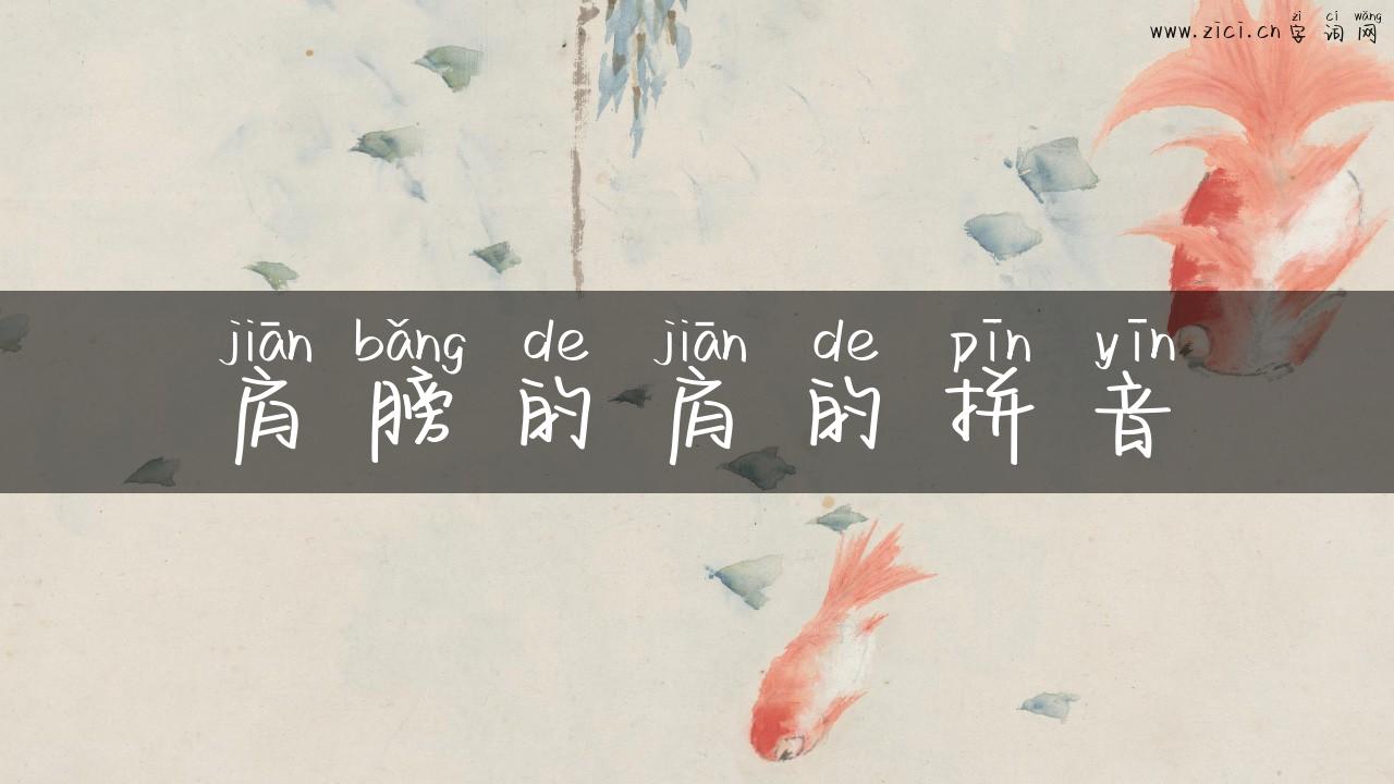 肩膀的肩的拼音