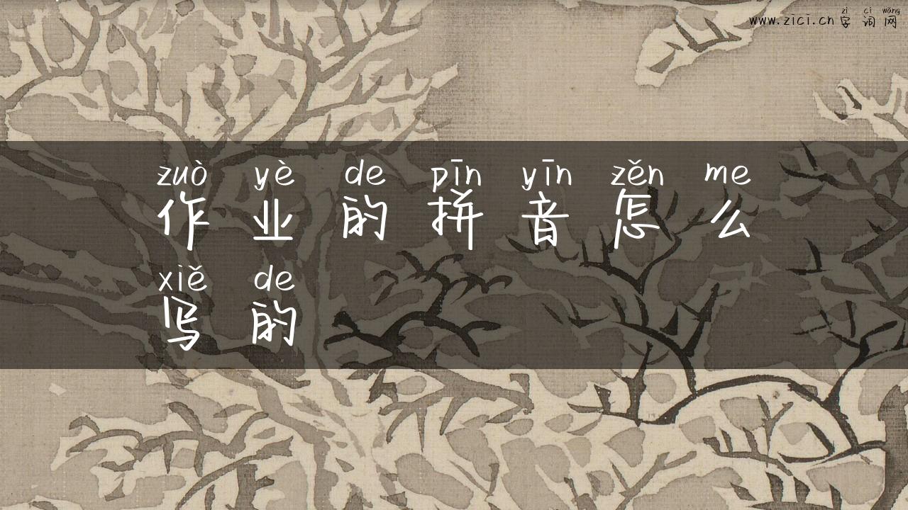 作业的拼音怎么写的
