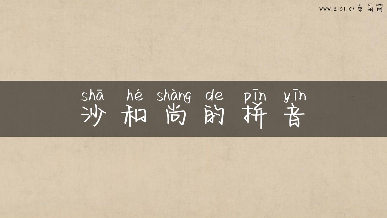 沙和尚的拼音