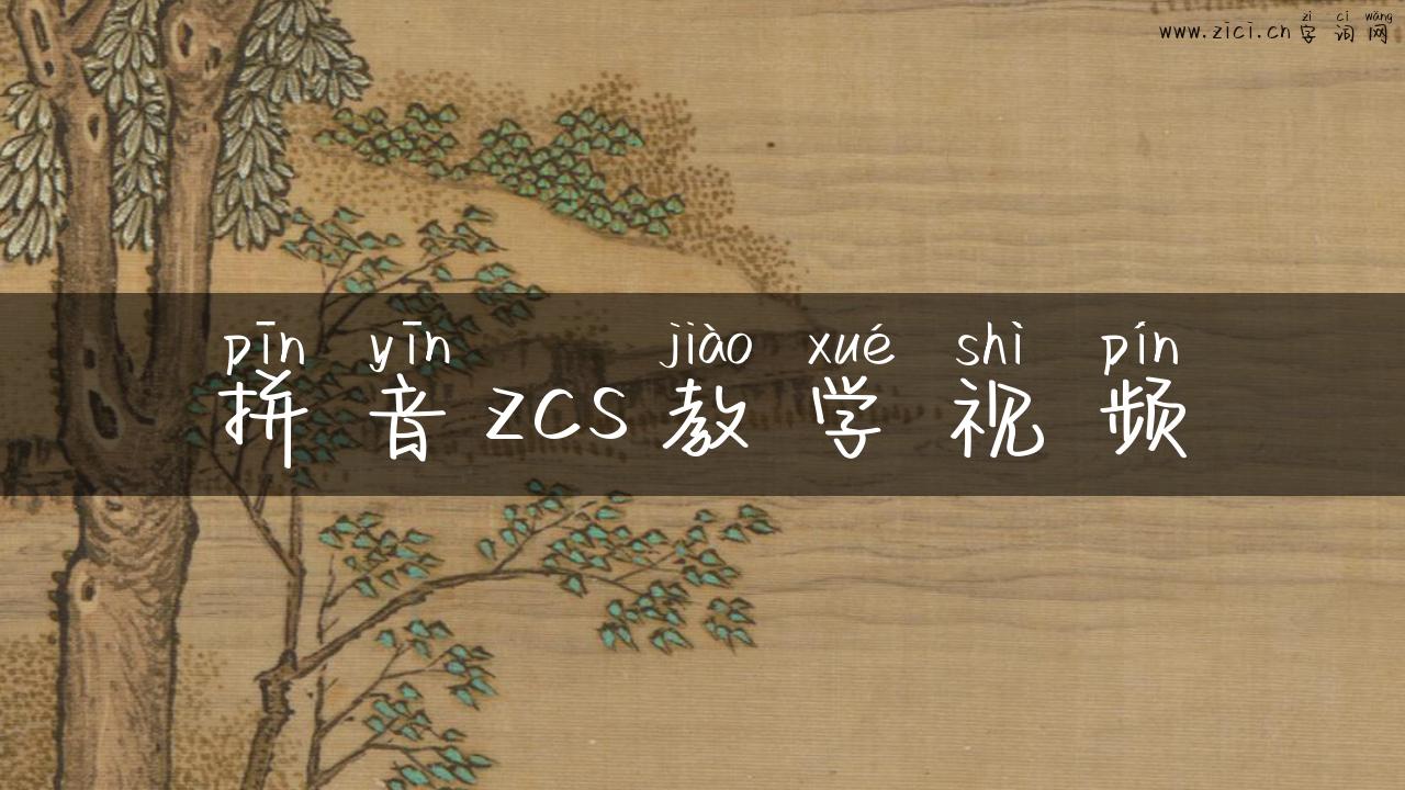 拼音zcs教学视频