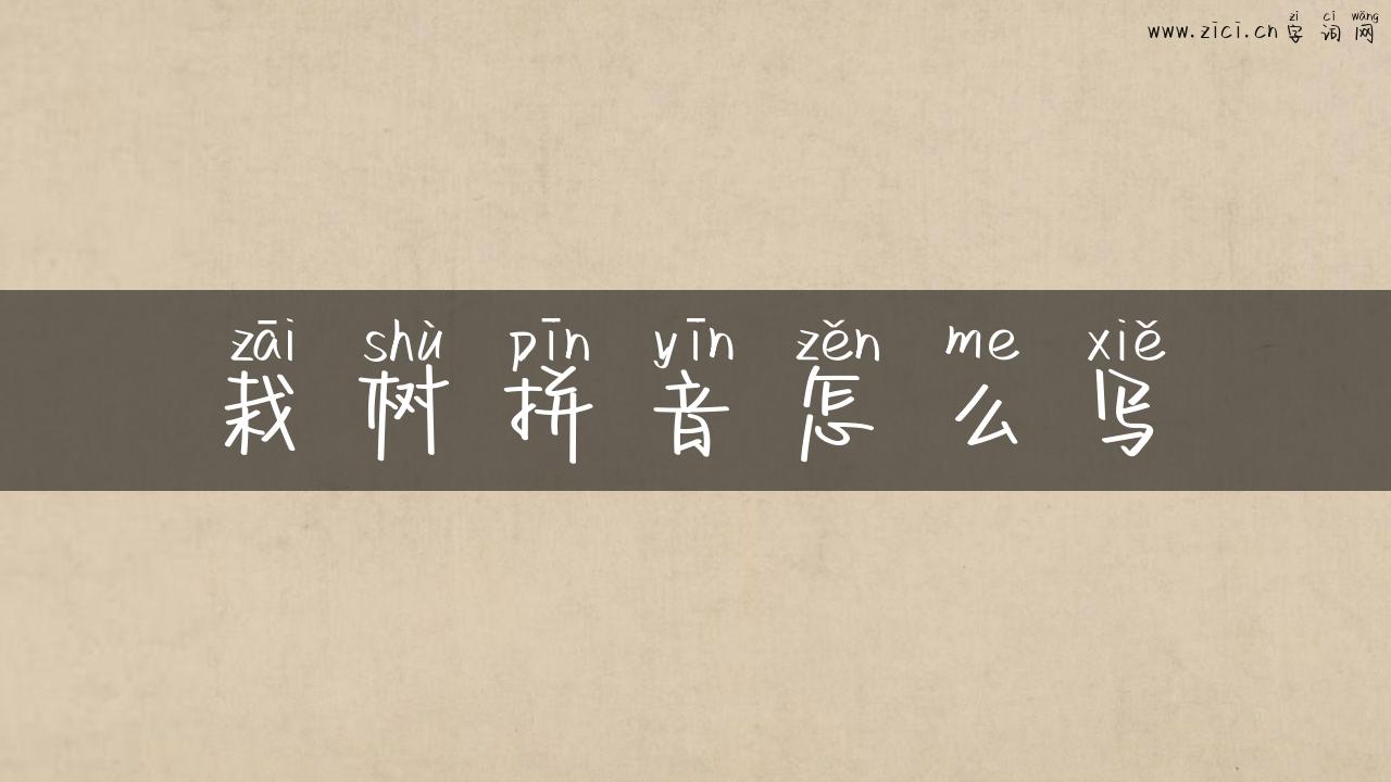 栽树拼音怎么写