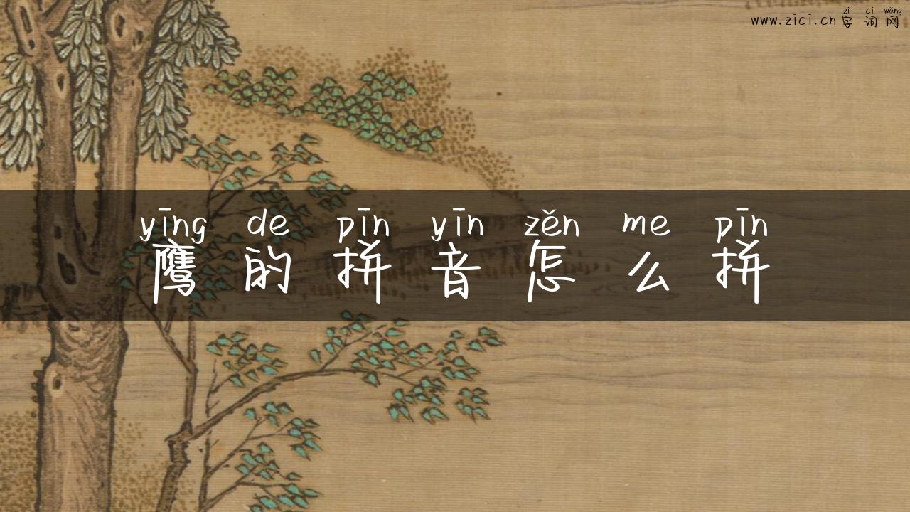 鹰的拼音怎么拼