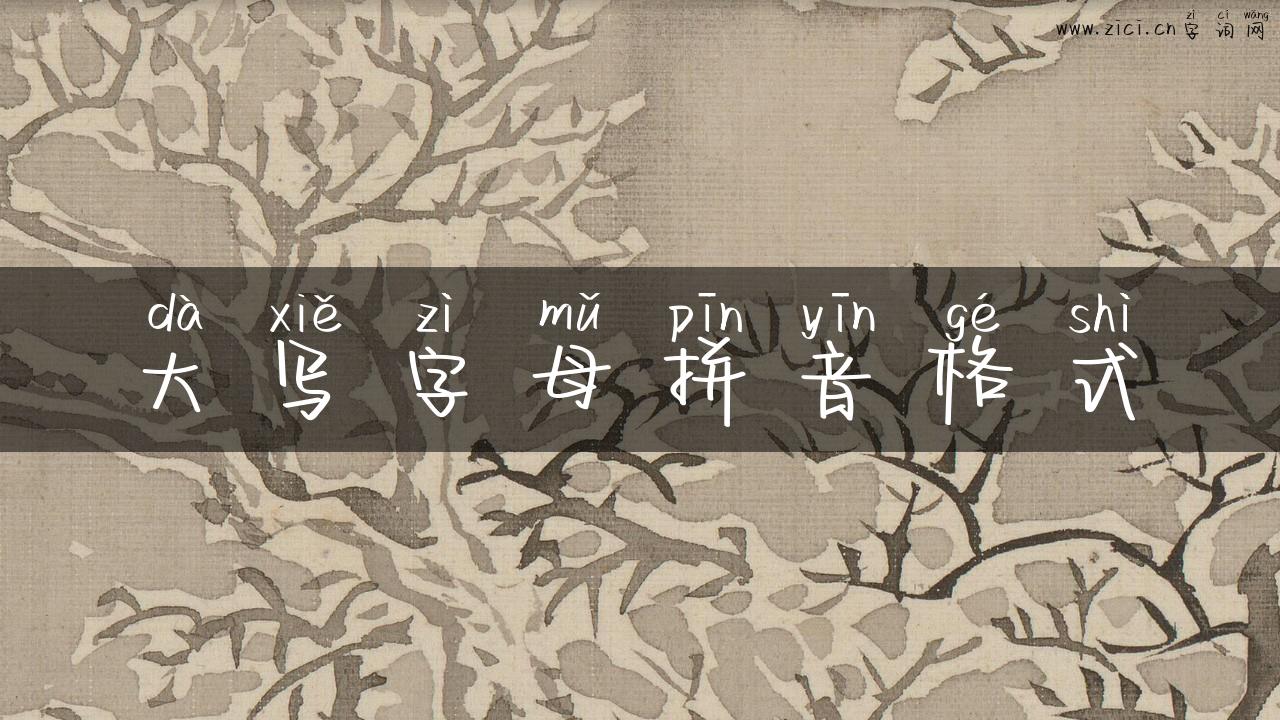 大写字母拼音格式