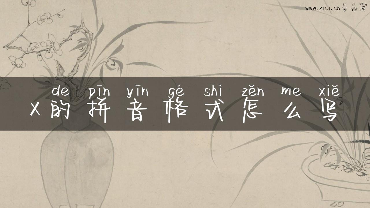 x的拼音格式怎么写