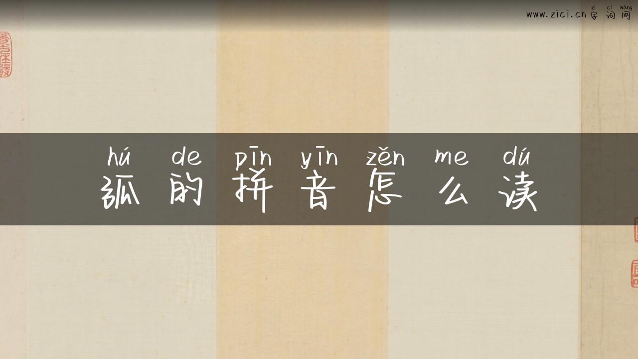 弧的拼音怎么读
