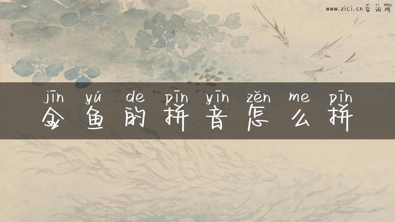 金鱼的拼音怎么拼