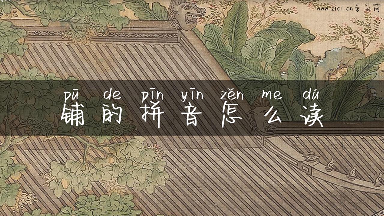 铺的拼音怎么读