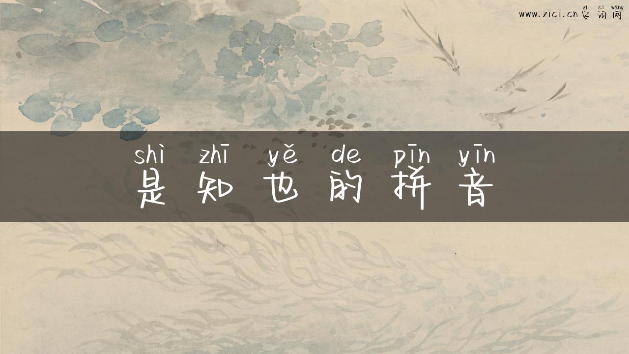 是知也的拼音