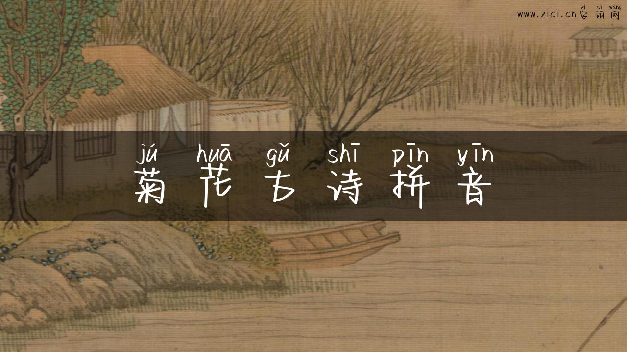 菊花古诗拼音
