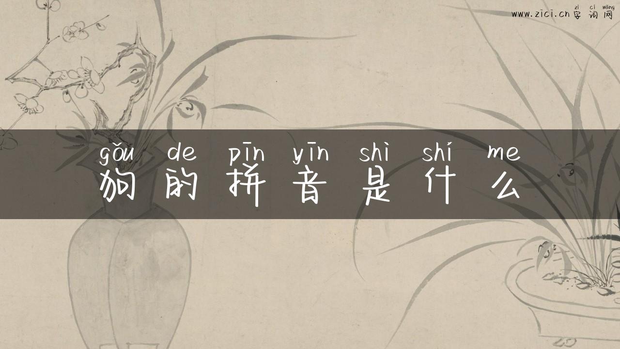 狗的拼音是什么