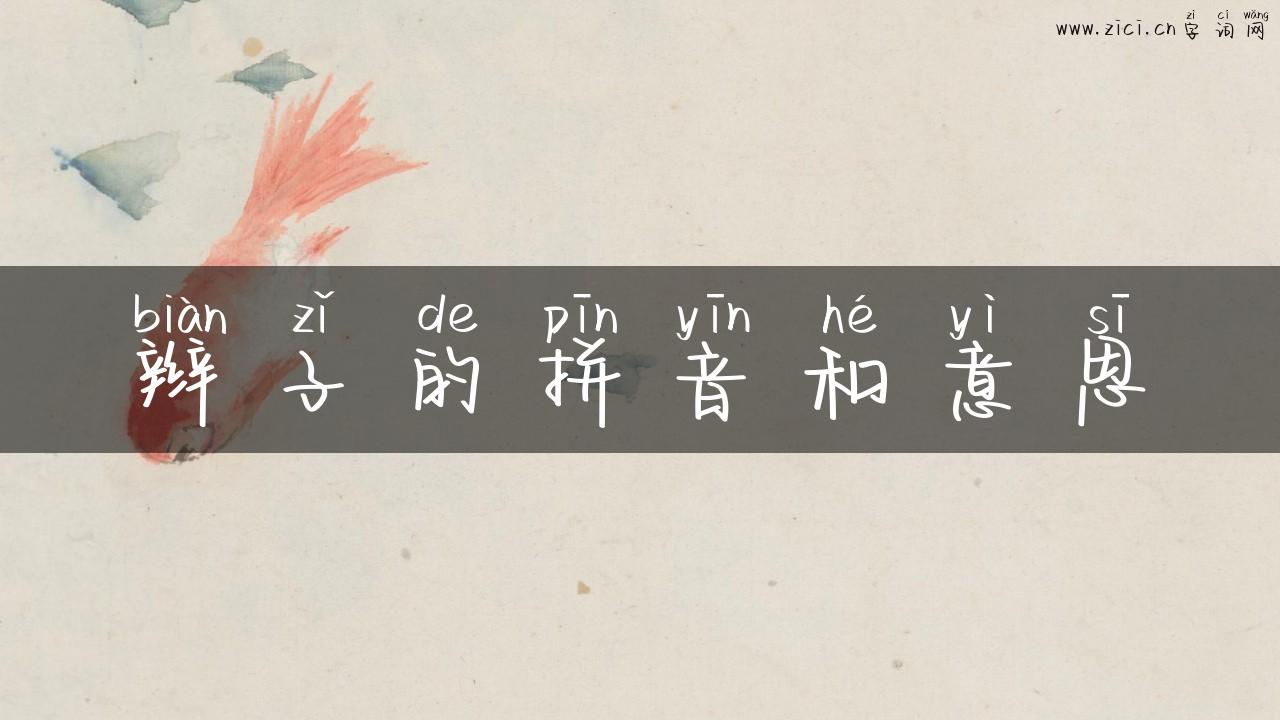 辫子的拼音和意思
