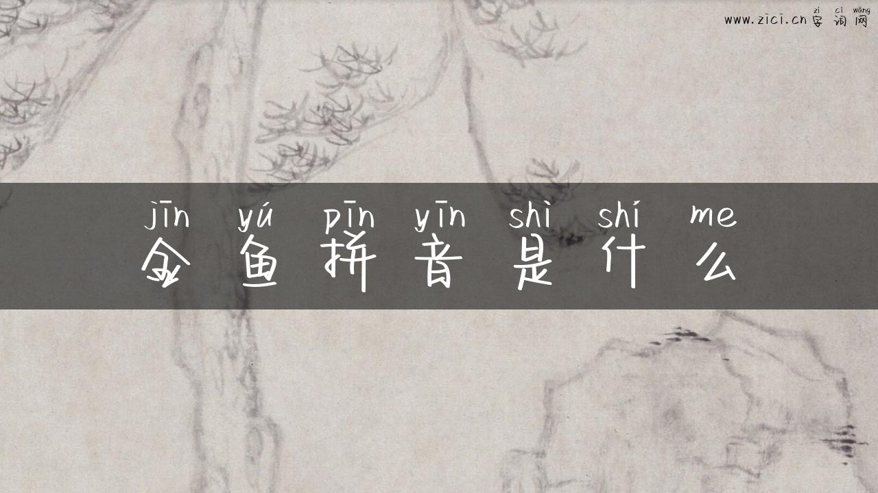 金鱼拼音是什么