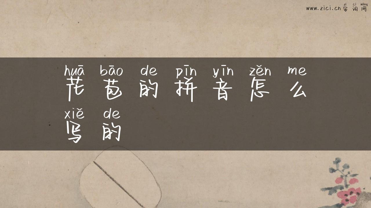 花苞的拼音怎么写的