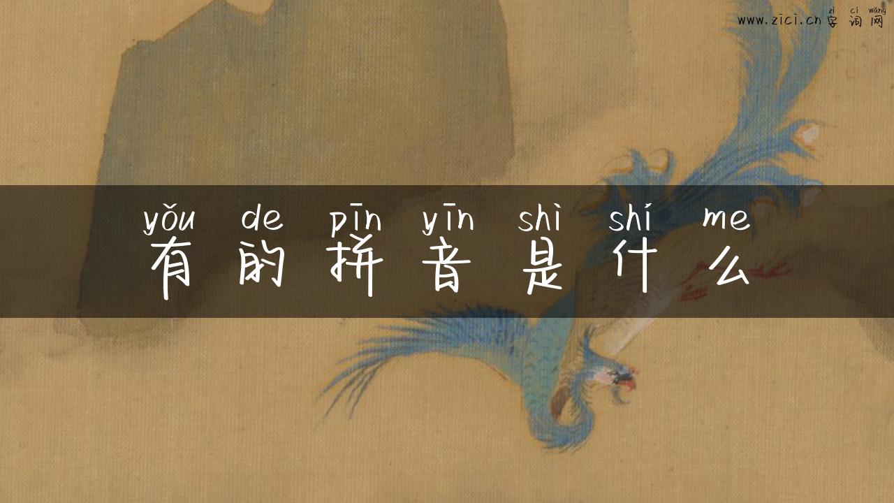 有的拼音是什么